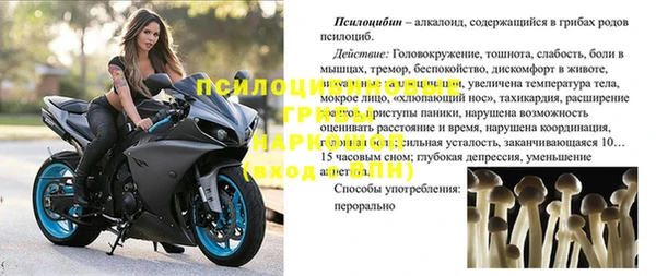 ALPHA PVP Остров